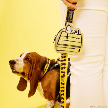 Peanuts 75th Anniversary Snoopy Gang Leash, Image 2